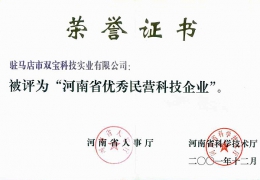 河南省優(yōu)秀民營科技企業(yè)證書